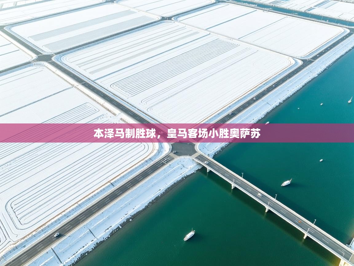 本泽马制胜球,皇马客场小胜奥萨苏 第2张