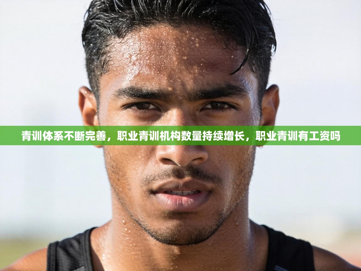 青训体系不断完善,职业青训机构数量持续增长,职业青训有工资吗 第1张