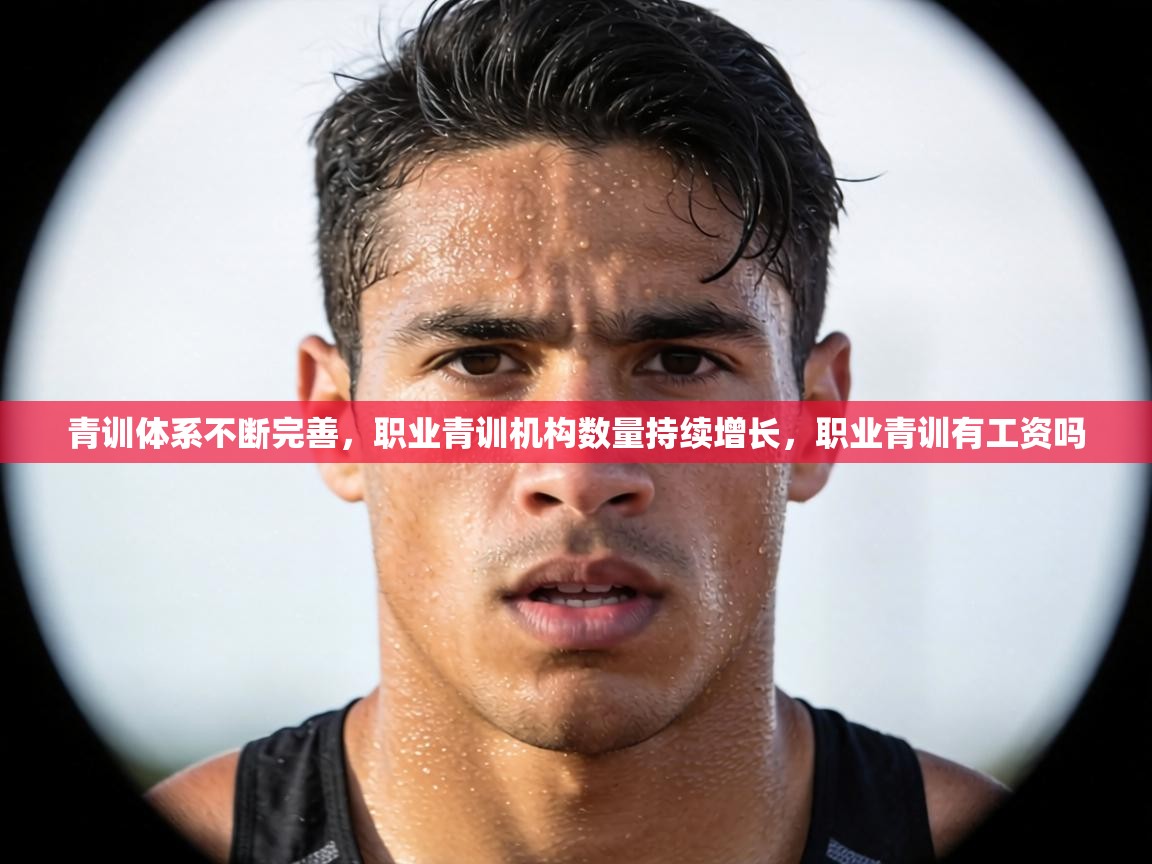 青训体系不断完善,职业青训机构数量持续增长,职业青训有工资吗 第2张